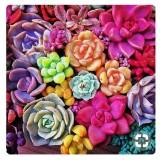 (Kategori: ) berada di . Dikirim oleh myraeshop (ID iklan 1384805666, Gambar 1). Deskripsi: .
