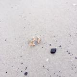 (Category: ) located in . Submitted by nnnn_nnnn0303 (Listing ID 1061789534, Image 1). Description: .