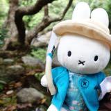 （分類：）位於 。 由 cccccmm 提交（商品編號 1372142309，圖片 1）。簡介： 。