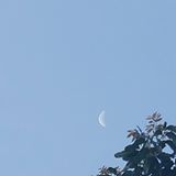 (Category: ) located in . Submitted by manikandan186 (Listing ID 1449963674, Image 1). Description: .