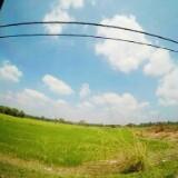 (Category: ) located in . Submitted by mizahalim (Listing ID 1381101138, Image 1). Description: .