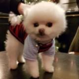 (Category: ) located in . Submitted by warcetang (Listing ID 1356814697, Image 1). Description: .