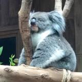 （分類：）位於 。 由 happy072018 提交（商品編號 1315121469，圖片 1）。簡介： 。