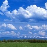 (Category: ) located in . Submitted by alshooter (Listing ID 1367198176, Image 1). Description: .