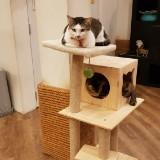 (Category: ) located in . Submitted by cyll88 (Listing ID 1380617171, Image 1). Description: .