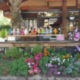(Category: ) located in . Submitted by bersim (Listing ID 1366693066, Image 1). Description: .