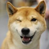 (Category: ) located in . Submitted by fortunedog (Listing ID 1445803430, Image 1). Description: .