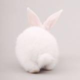 (Category: ) located in . Submitted by fluffyocloud (Listing ID 1267159203, Image 1). Description: .