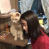 （分類：）位於 。 由 lsavay 提交（商品編號 1135698519，圖片 1）。簡介： 。