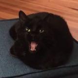 (Category: ) located in . Submitted by dontrustdontask (Listing ID 1369236492, Image 1). Description: .
