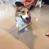 (Category: ) located in . Submitted by fronty (Listing ID 1333836075, Image 1). Description: .