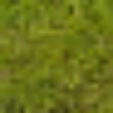 (Category: ) located in . Submitted by ryan.ti.ti.ti (Listing ID 1355698980, Image 1). Description: .