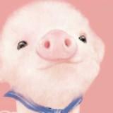 （分類：）位於 。 由 ccllll 提交（商品編號 1190872937，圖片 1）。簡介： 。