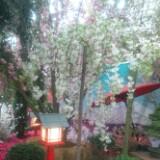 (Category: ) located in . Submitted by florencepang (Listing ID 1456514047, Image 1). Description: .