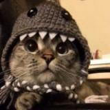 (Category: ) located in . Submitted by cocoandcrunch (Listing ID 1349638954, Image 1). Description: .