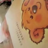 由 shupinwei (刊登 ID 1384116090，圖片 1) 提交，位於 的 (類別：)，說明：。