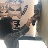 （分類：）位於 。 由 kaman_1017 提交（商品編號 1383301429，圖片 1）。簡介： 。
