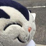 （分類：）位於 。 由 jacobmatch 提交（商品編號 1385582074，圖片 1）。簡介： 。