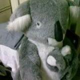 （分類：）位於 。 由 big_koala 提交（商品編號 1373667344，圖片 1）。簡介： 。
