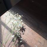 (Category: ) located in . Submitted by rachll (Listing ID 1380209920, Image 1). Description: .
