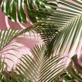 (分類:)位於 。 由 jan_cc 提交(商品編號 1456906089,圖片 1)。簡介: 。