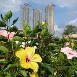 （分類：）位於 。 由 goodnite20 提交（商品編號 1325652135，圖片 1）。簡介： 。