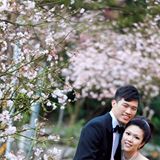 (分類:)位於 。 由 aa1234576 提交(商品編號 1456353437,圖片 1)。簡介: 。