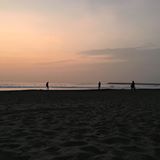 由 tititata23 (刊登 ID 1383825692，圖片 1) 提交，位於 的 (類別：)，說明：。