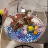 (Category: ) located in . Submitted by ahlanlee87 (Listing ID 1377432730, Image 1). Description: .