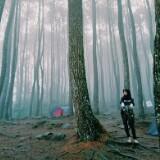 (Kategori: ) berada di . Dikirim oleh holanhijab (ID iklan 1358530855, Gambar 1). Deskripsi: .