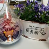 （分類：）位於 。 由 joannerex 提交（商品編號 1381699524，圖片 1）。簡介： 。