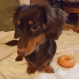 （分類：）位於 。 由 reyes920 提交（商品編號 1376746728，圖片 1）。簡介： 。