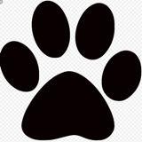 (Category: ) located in . Submitted by jokerpaw (Listing ID 185590107, Image 1). Description: .