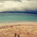 (Category: ) located in . Submitted by camib (Listing ID 1358171743, Image 1). Description: .