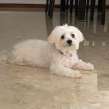(Category: ) located in . Submitted by furyy (Listing ID 1378337796, Image 1). Description: .