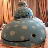 (Category: ) located in . Submitted by flippers2014 (Listing ID 1442491118, Image 1). Description: .