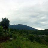 (Kategori: ) berada di . Dikirim oleh kristinn91 (ID iklan 1335418946, Gambar 1). Deskripsi: .