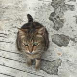 （分類：）位於 。 由 blessingtheworld 提交（商品編號 1360134315，圖片 1）。簡介： 。