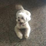 (Category: ) located in . Submitted by dad_3 (Listing ID 1279868384, Image 1). Description: .