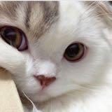 (Category: ) located in . Submitted by prettytaco (Listing ID 1190177418, Image 1). Description: .
