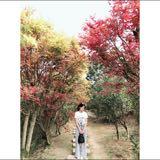 由 peggy_peggy (刊登 ID 1386364213，圖片 1) 提交，位於 的 (類別：)，說明：。
