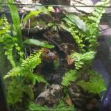 (Category: ) located in . Submitted by nphew8 (Listing ID 1322524159, Image 1). Description: .