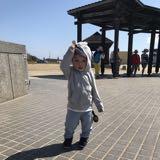 由 tabohome (刊登 ID 1331815446，圖片 1) 提交，位於 的 (類別：)，說明：。