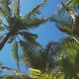 (Category: ) located in . Submitted by usedbyc (Listing ID 1351289500, Image 1). Description: .