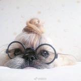 由 missmissjo (刊登 ID 1350573744，圖片 1) 提交，位於 的 (類別：)，說明：。