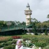 (Kategori: ) berada di . Dikirim oleh saran_store (ID iklan 1359089303, Gambar 1). Deskripsi: .