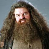 (Kategori: ) berada di . Dikirim oleh hagrid.shop (ID iklan 1306839704, Gambar 1). Deskripsi: .