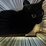 （分類：）位於 。 由 cancheung 提交（商品編號 1365824771，圖片 1）。簡介： 。