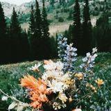 (Category: ) located in . Submitted by itstherin (Listing ID 1386075914, Image 1). Description: .