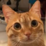 （分類：）位於 。 由 pat.spwong 提交（商品編號 1312104682，圖片 1）。簡介： 。